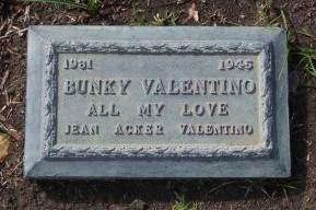 13497350_114128785428